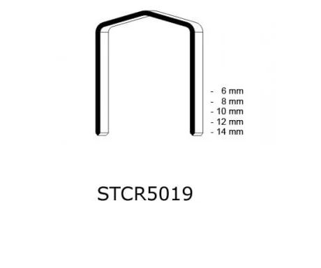 Staples STCR5019 type